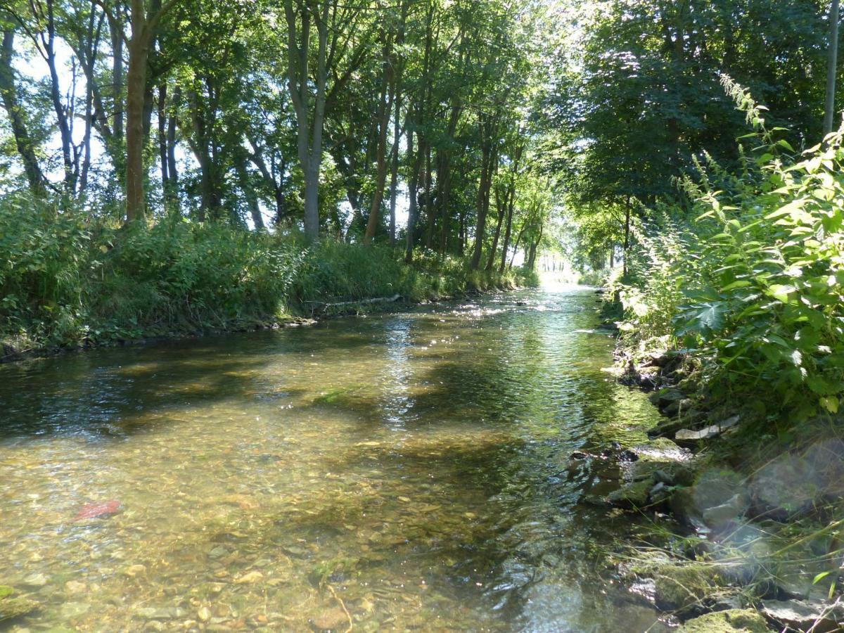 Ferienwohnung Mit Brockenblick Langenstein Zewnętrze zdjęcie