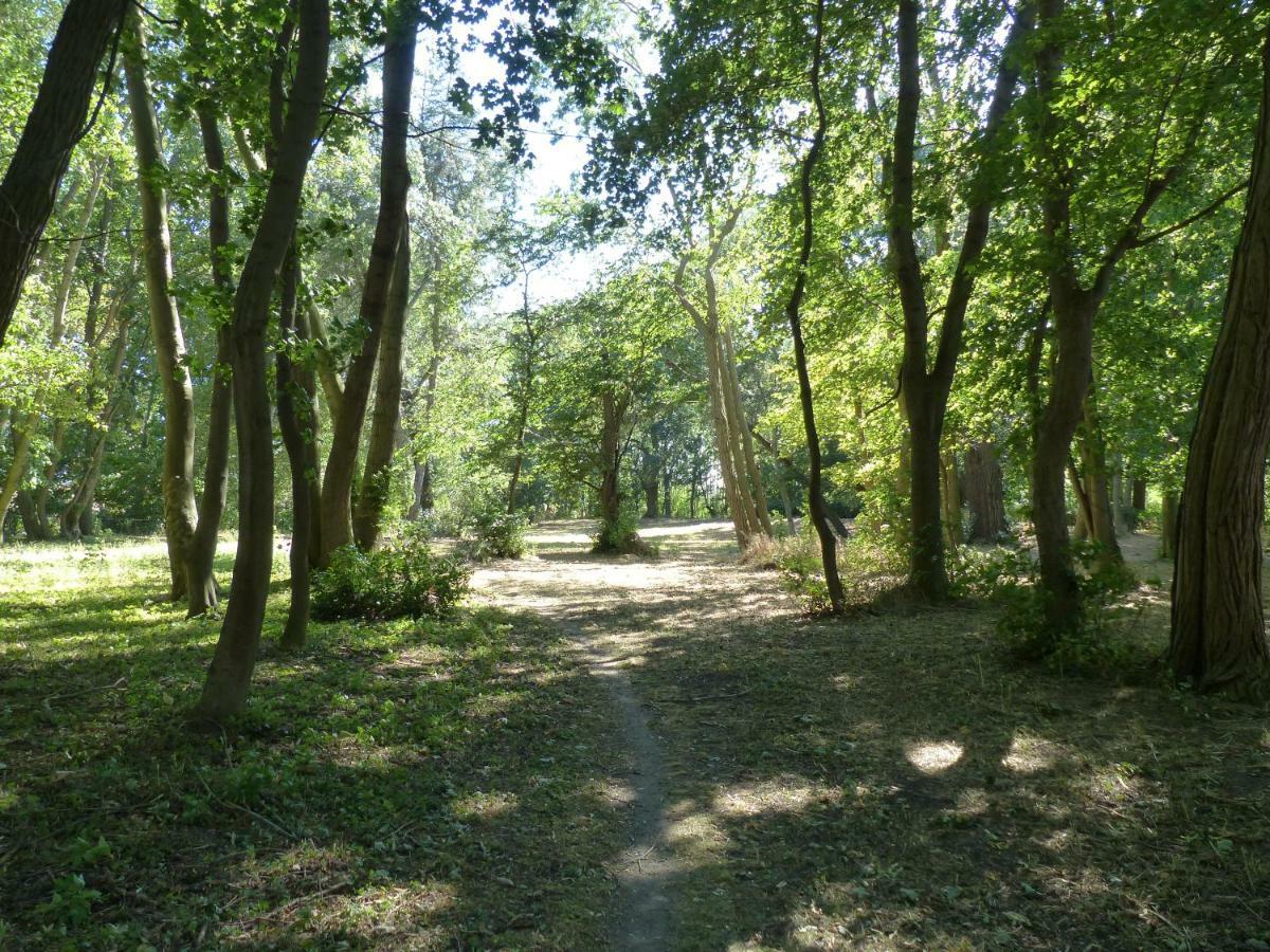 Ferienwohnung Mit Brockenblick Langenstein Zewnętrze zdjęcie