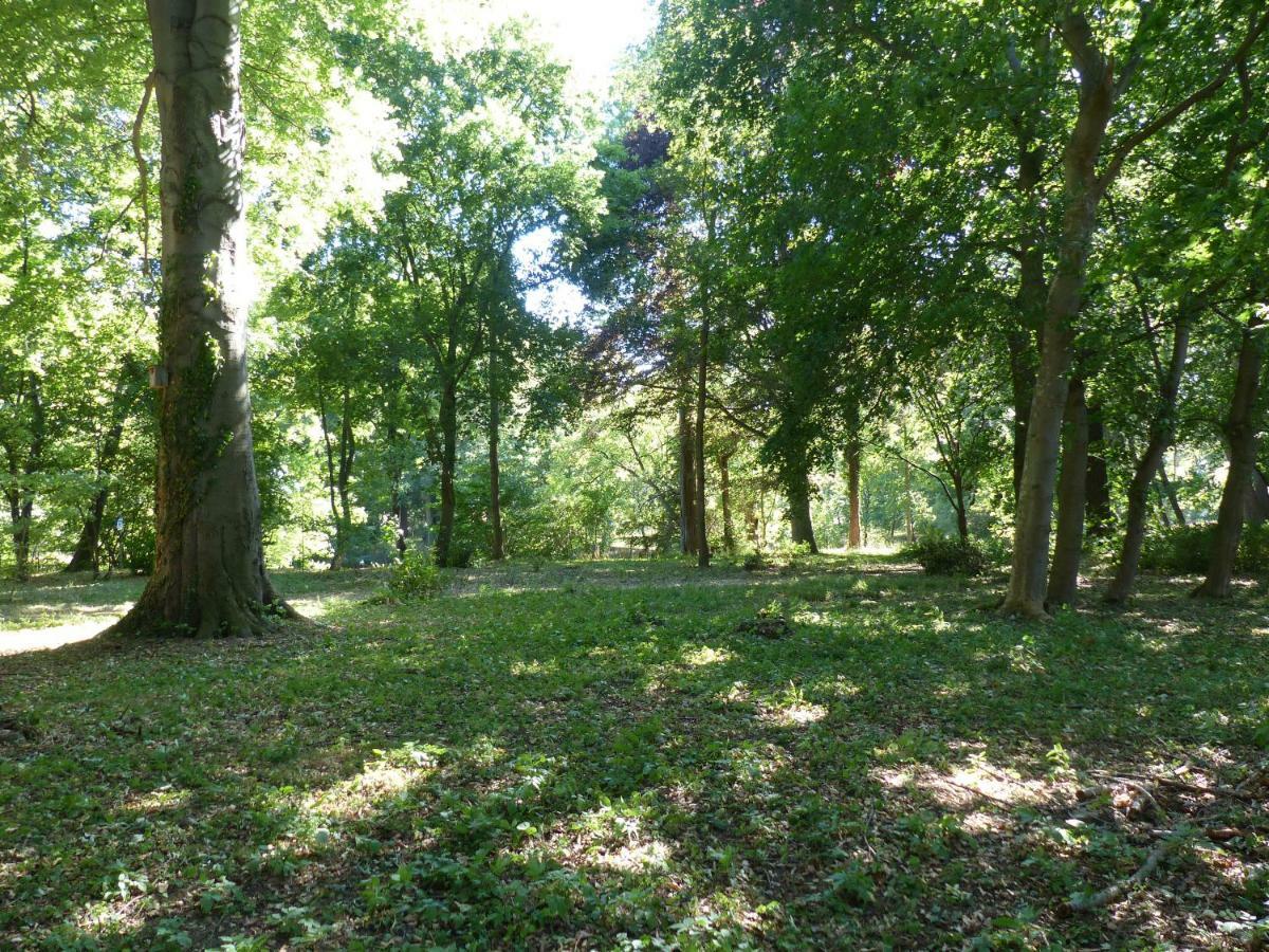 Ferienwohnung Mit Brockenblick Langenstein Zewnętrze zdjęcie