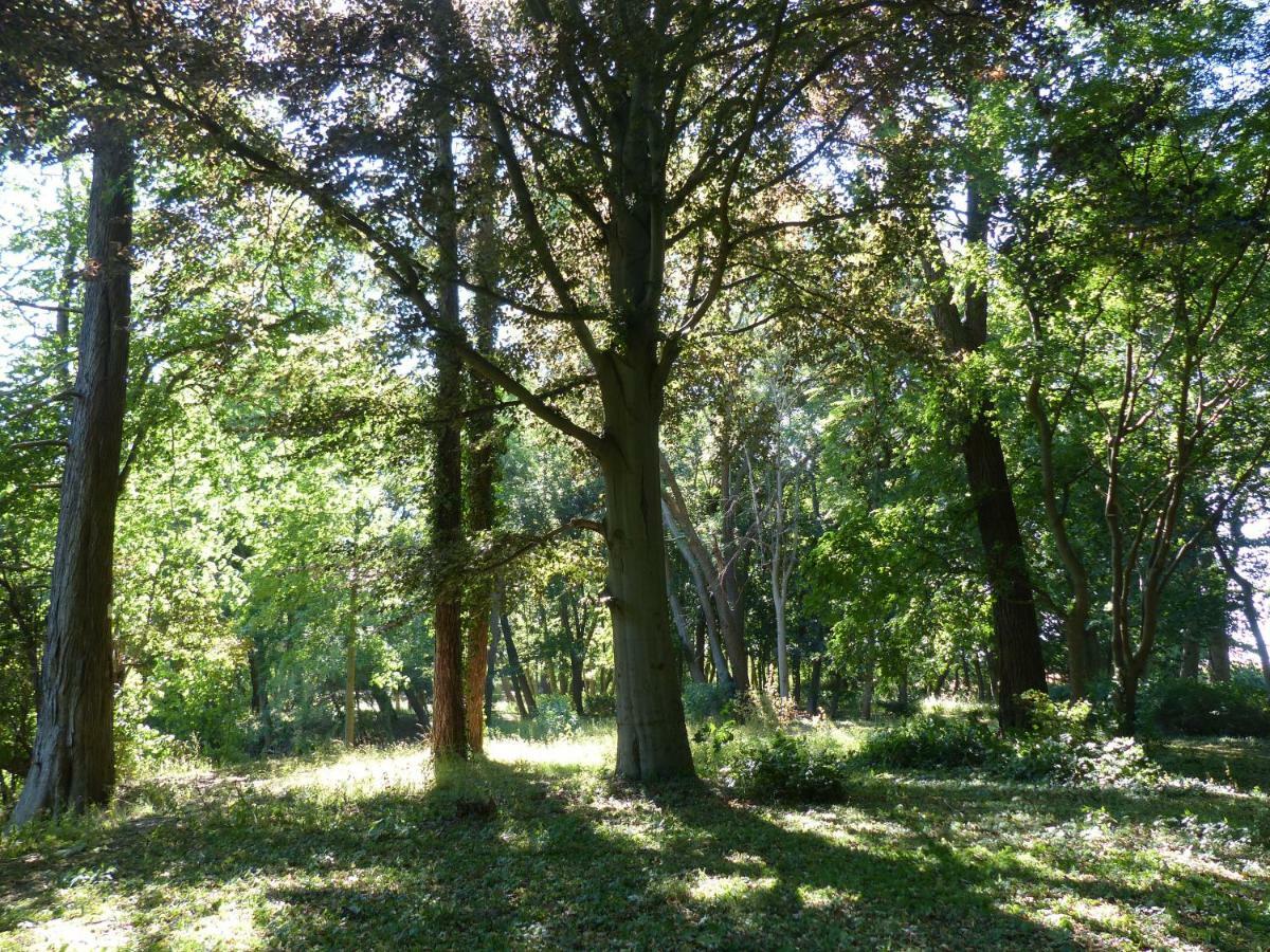 Ferienwohnung Mit Brockenblick Langenstein Zewnętrze zdjęcie