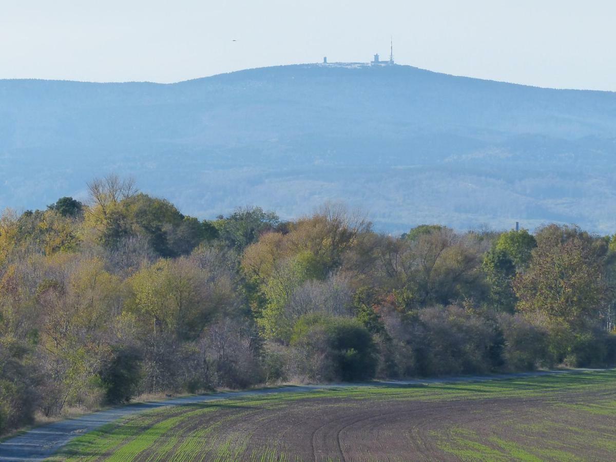 Ferienwohnung Mit Brockenblick Langenstein Zewnętrze zdjęcie